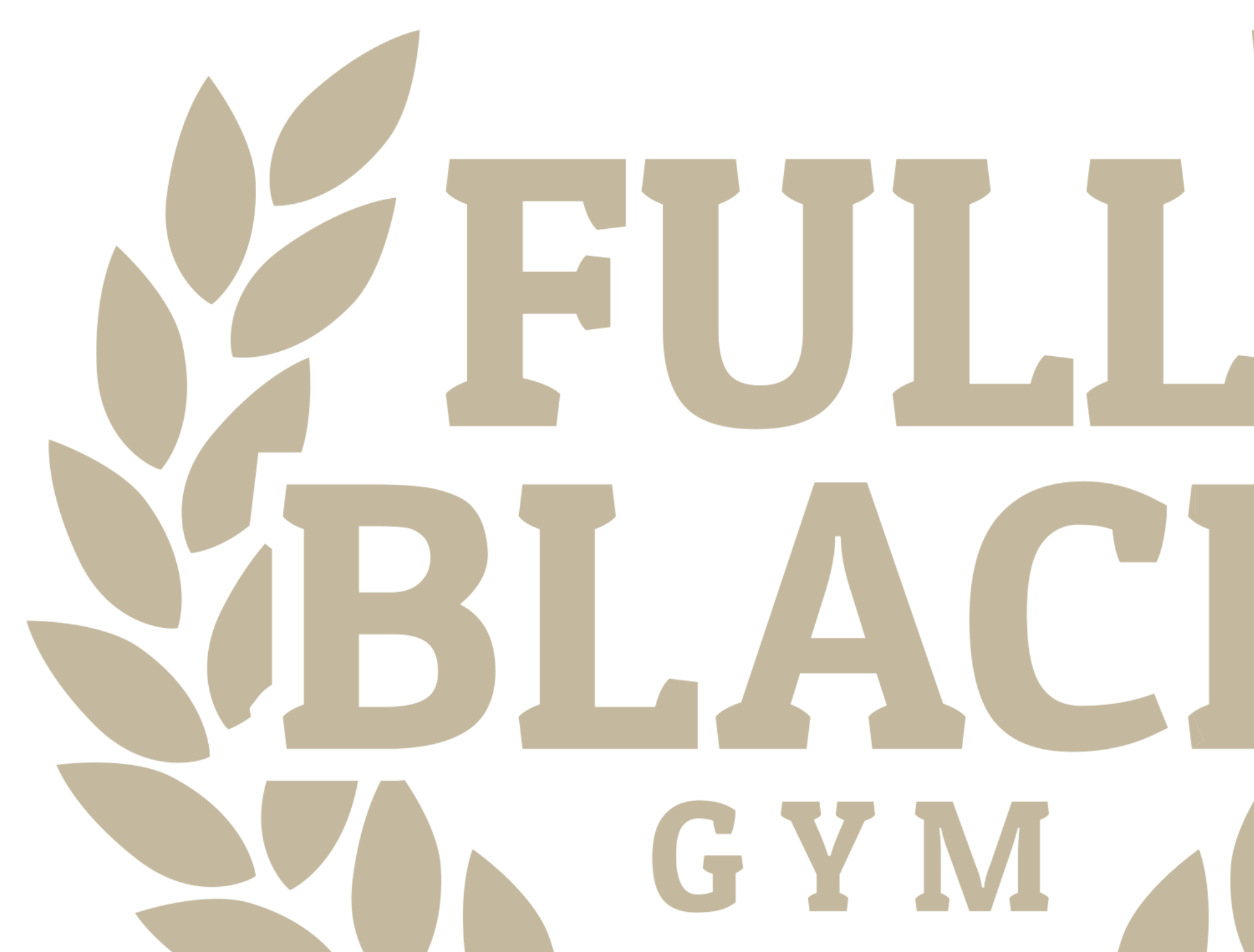Full Black Gym